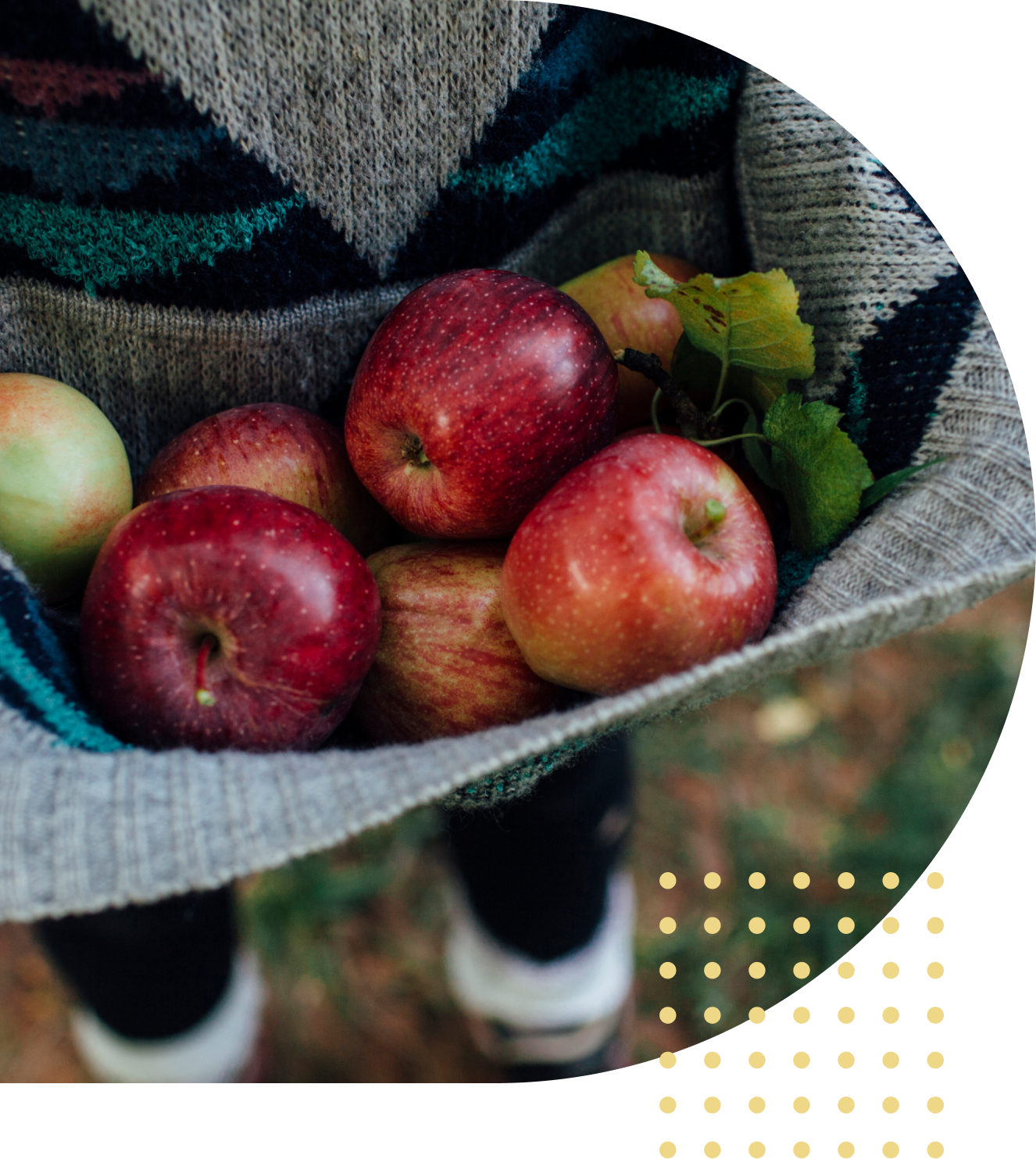 A person holding apples